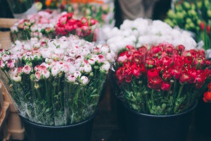 Mercado de las Flores - Gran Vida