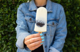 HOKEY POPS helados de paleta cien por cien naturales